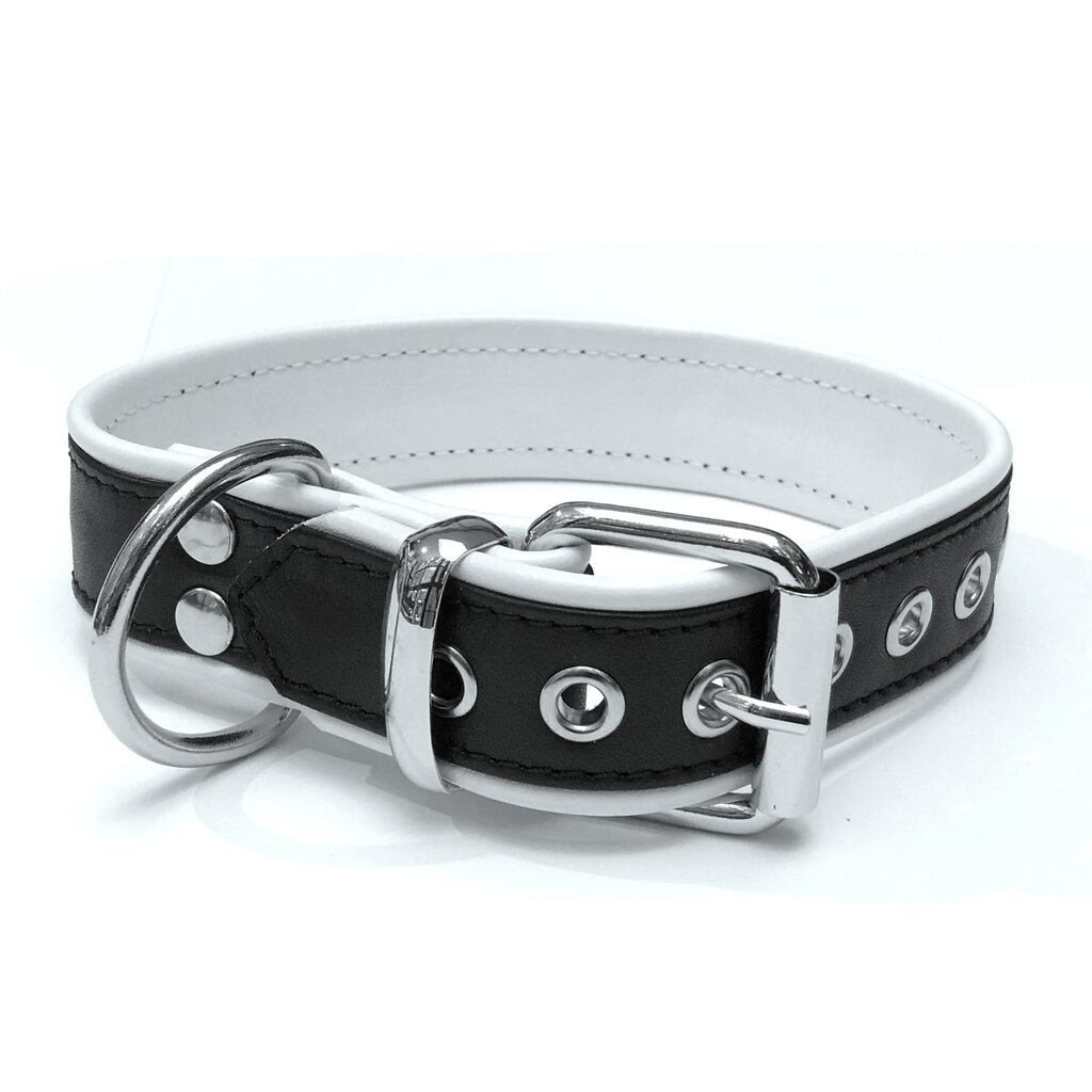 RoB Leather slave collar with 1 D-ring with colored piping