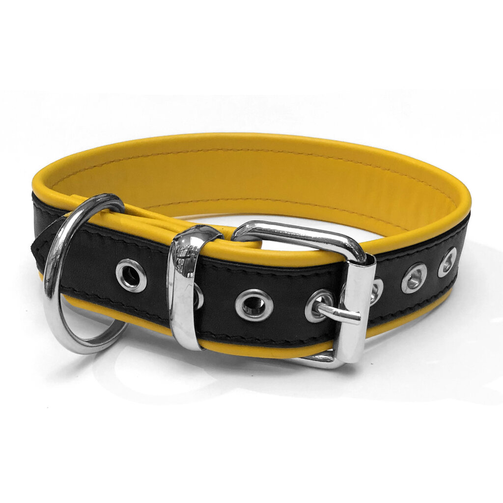 RoB Leather slave collar with 1 D-ring with colored piping