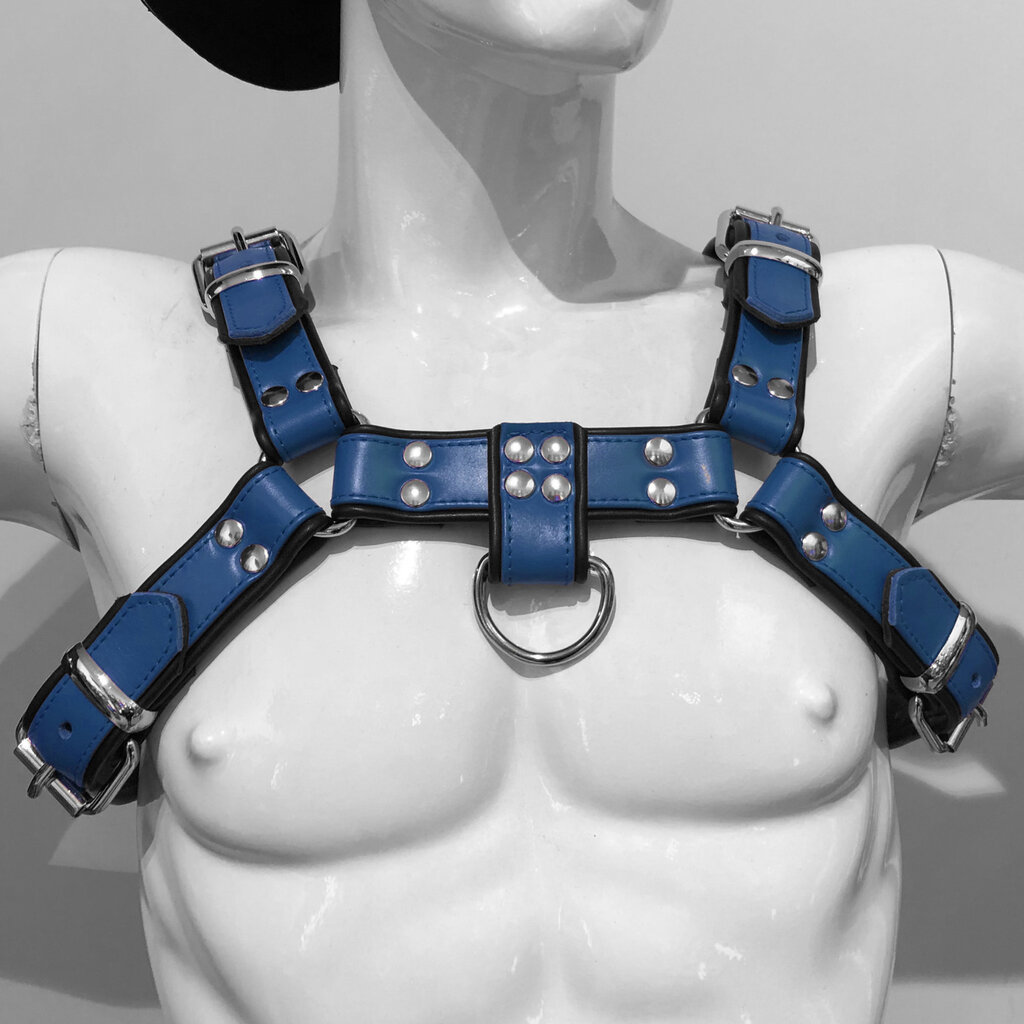 RoB H-Front Harness blau mit schwarzen Piping