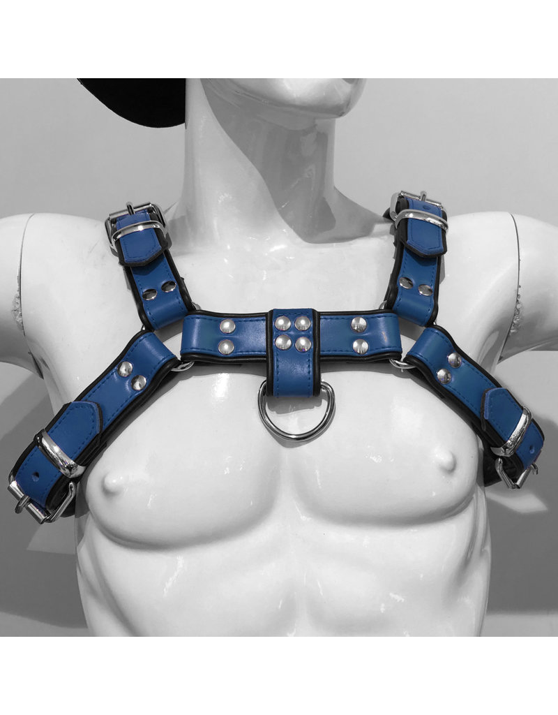 RoB H-Front Harness blau mit schwarzen Piping
