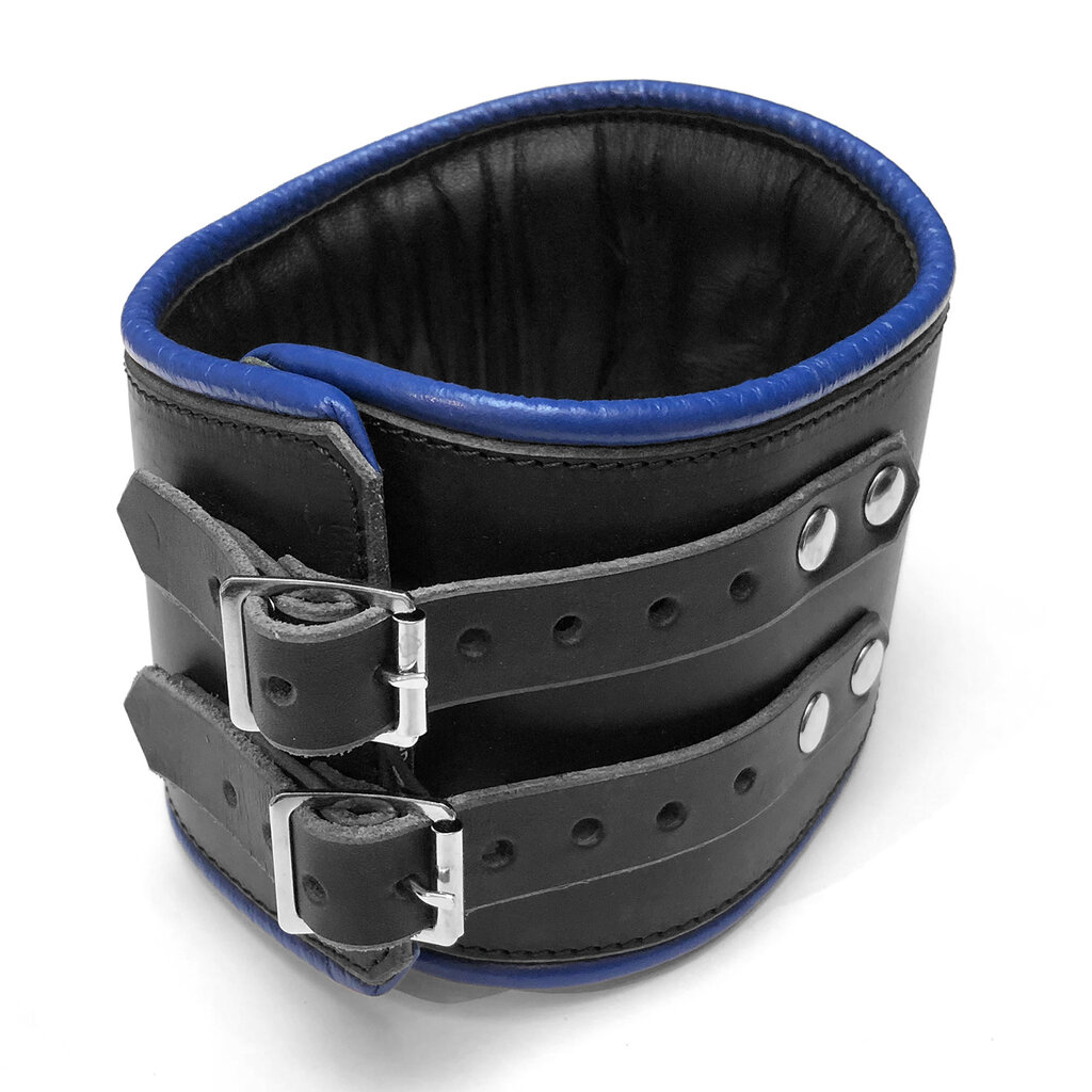 RoB Leren padded discipline halsband met gekleurde bies