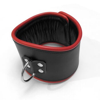 RoB Leather padded posture collar with colored piping