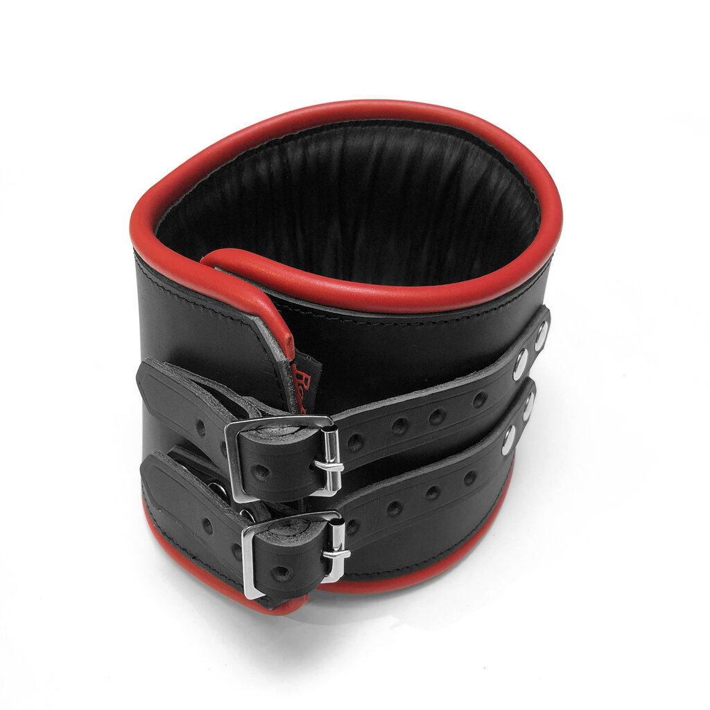 RoB Leren padded discipline halsband met gekleurde bies