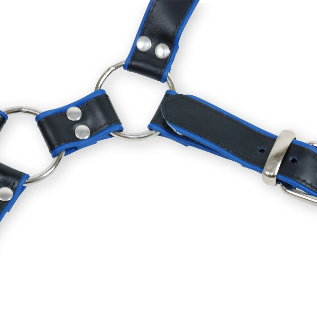 RoB Y-Front harness black with colored piping