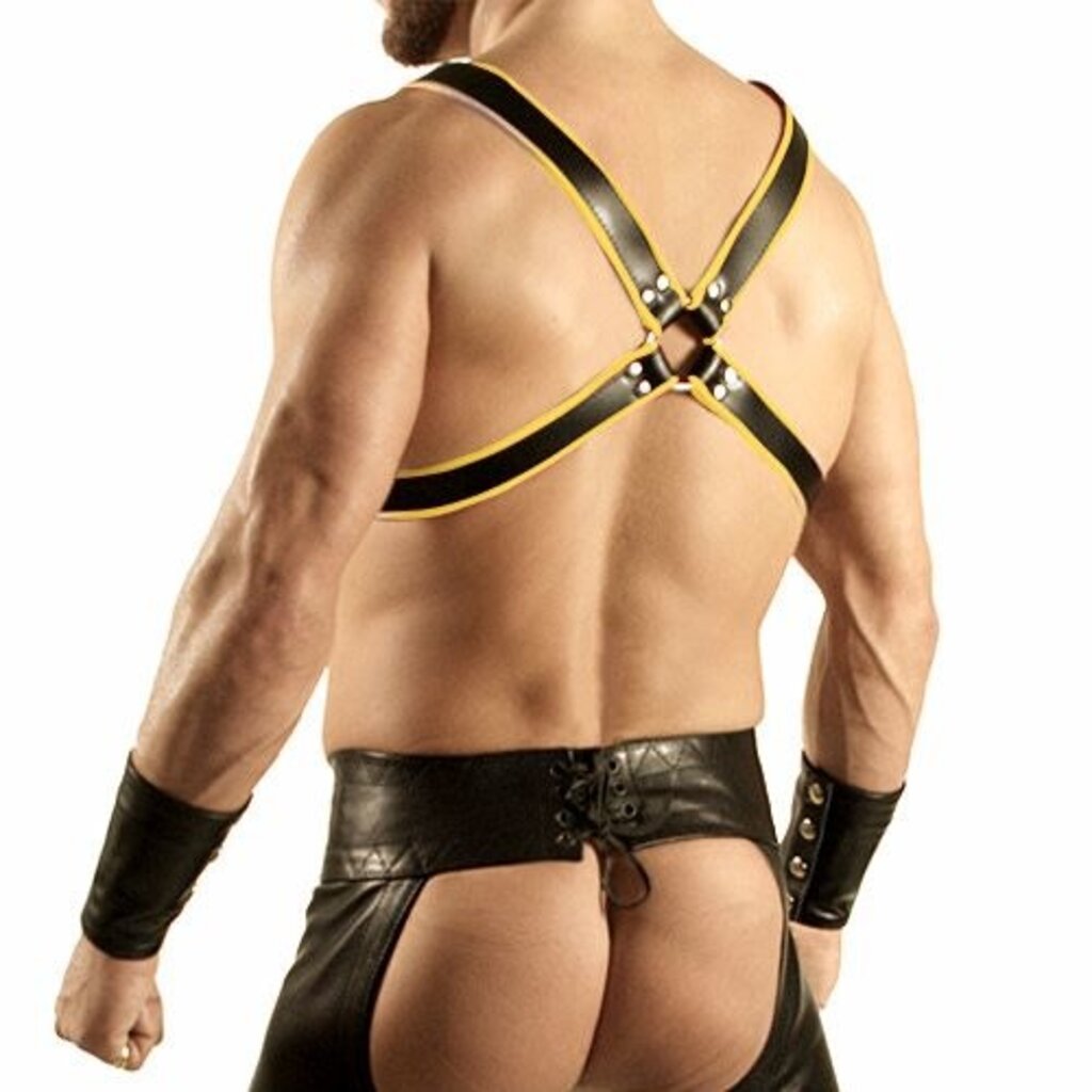 RoB Y-Front harness black with colored piping