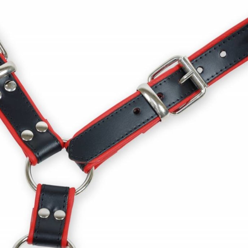 RoB Y-Front harness black with colored piping