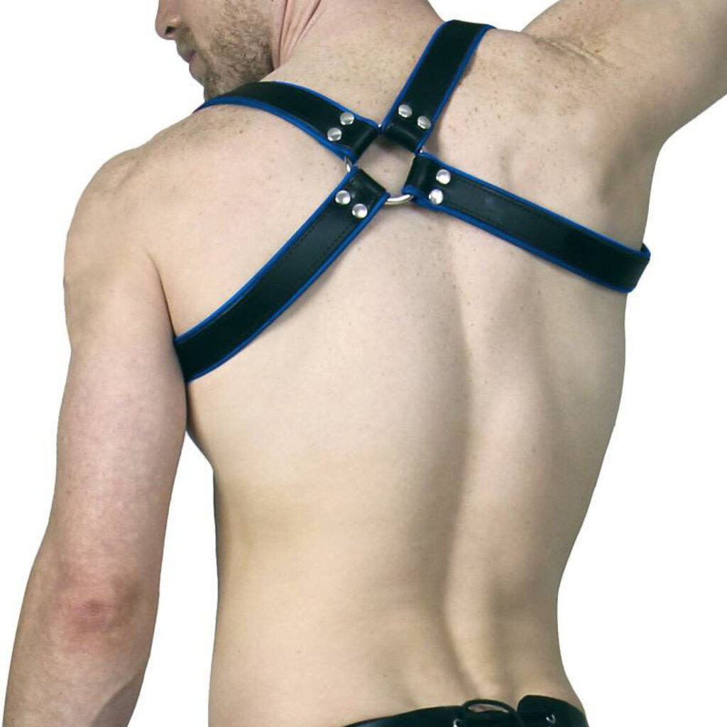 RoB Shoulder harness with buckle, black with colored piping