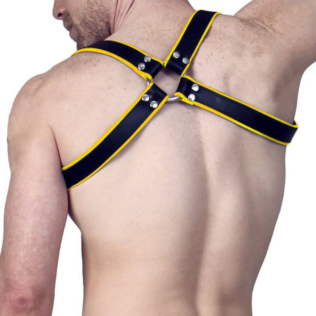 RoB Shoulder harness with buckle, black with colored piping