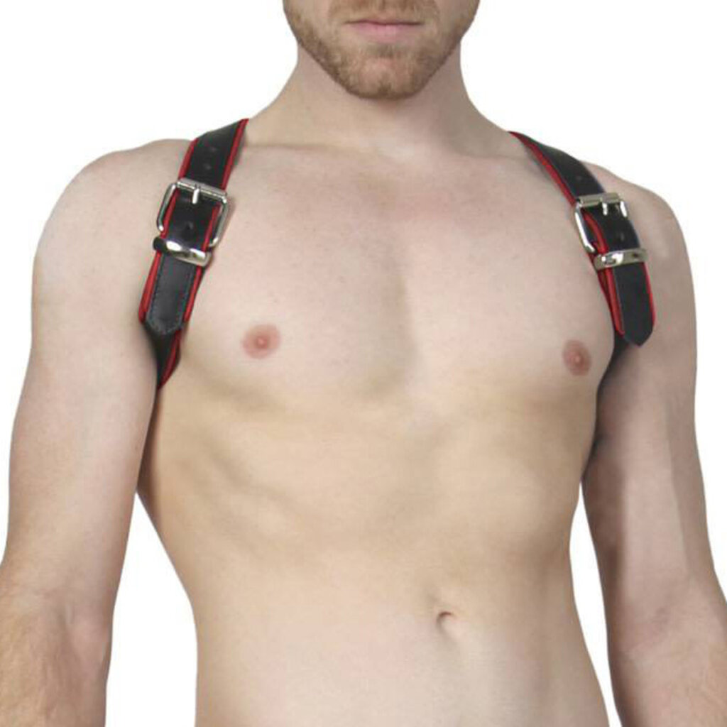 RoB Shoulder harness with buckle, black with colored piping