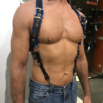 RoB Phalanx harness black with colored piping