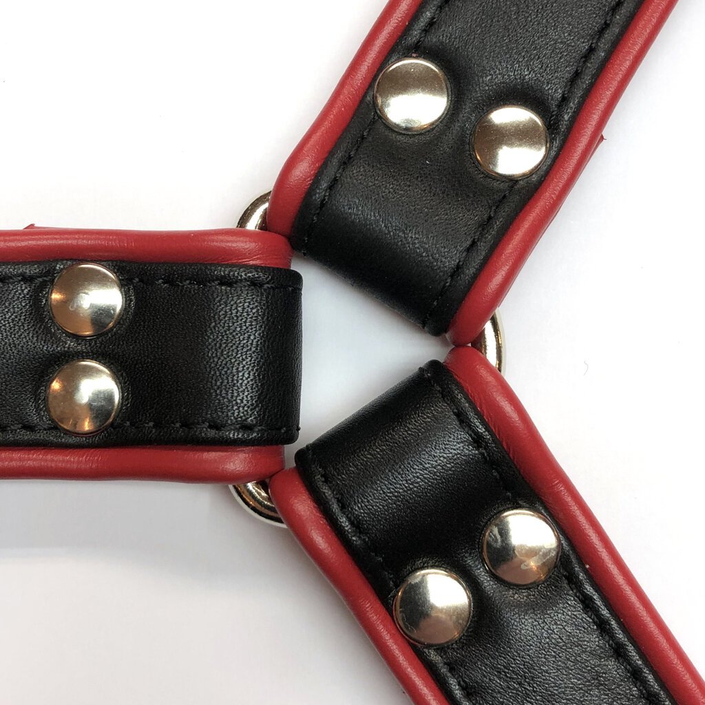 RoB Leather padded posture collar with colored piping - RoB Amsterdam