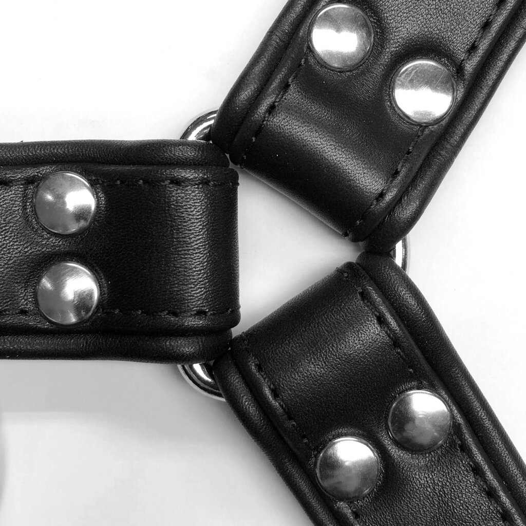 RoB H-Front Harness mit schwarzen Piping