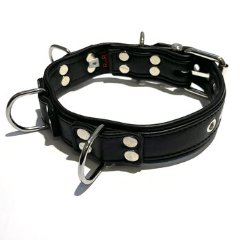 RoB Leather slave collar with 4 D-rings