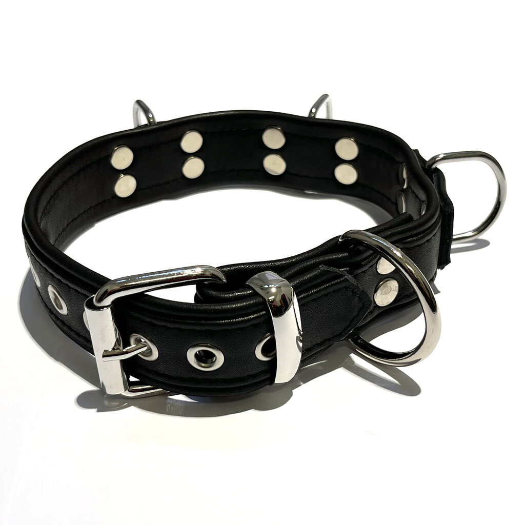 RoB Leather slave collar with 4 D-rings