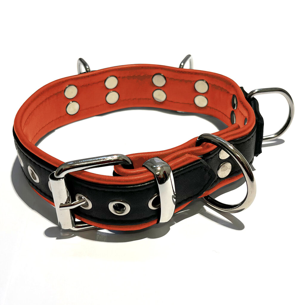 RoB Leather slave collar with 4 D-rings with colored piping