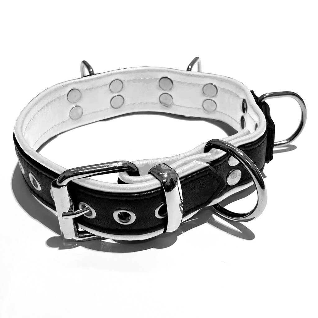 RoB Leather slave collar with 4 D-rings with colored piping