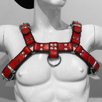 RoB H-Front Harness rot mit schwarzen Piping
