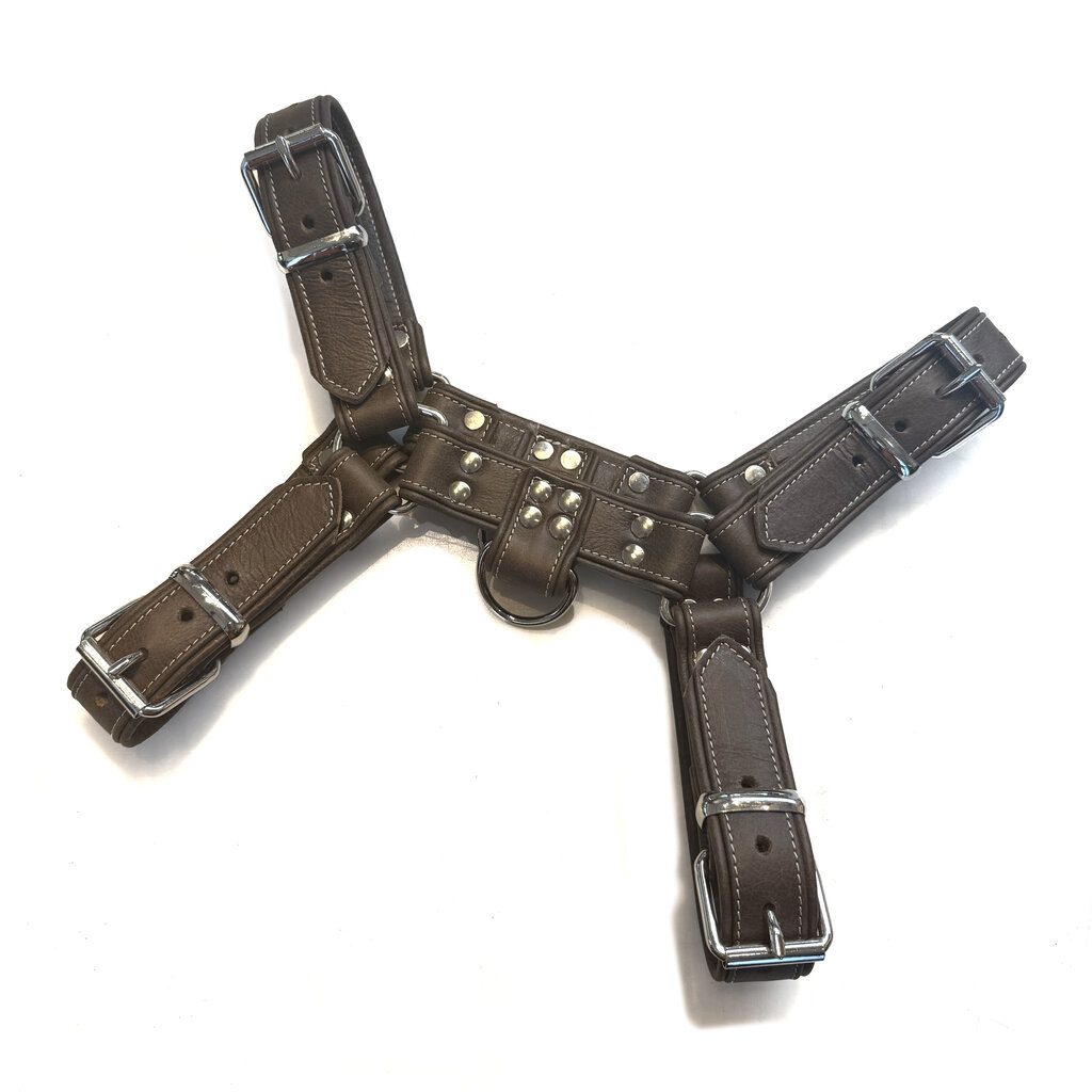 RoB Stallion Harness Wide Grizzly