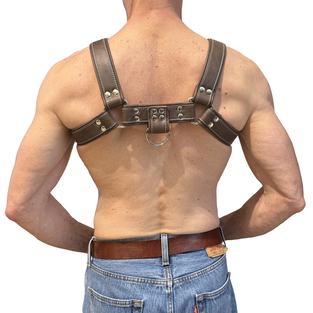 RoB Stallion Harness Wide Grizzly