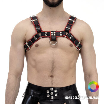 RoB H-Front Harness mit farbigem Rand