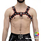RoB H-Front Harness mit farbigem Rand