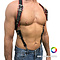 RoB Phalanx Harness schwarz mit farbigem Rand