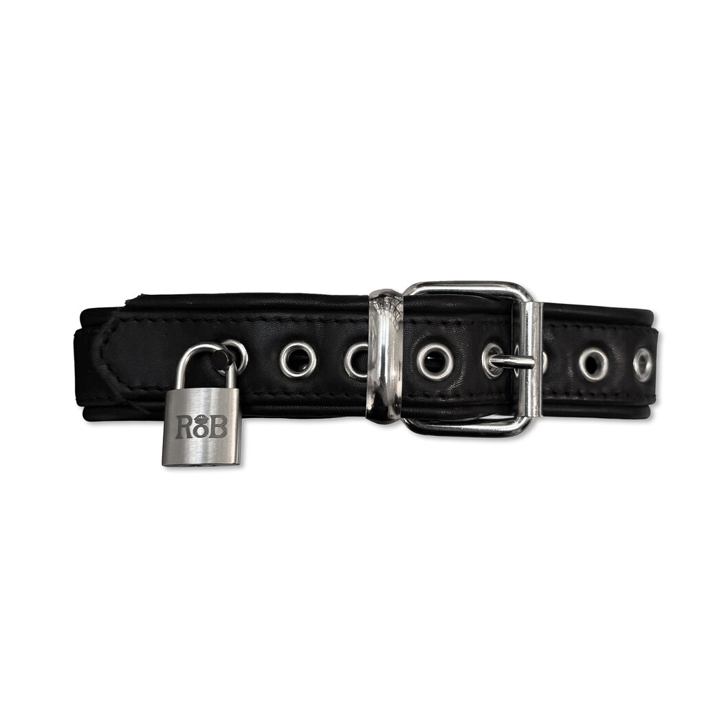 RoB Stainless Steel Lock for Restraints