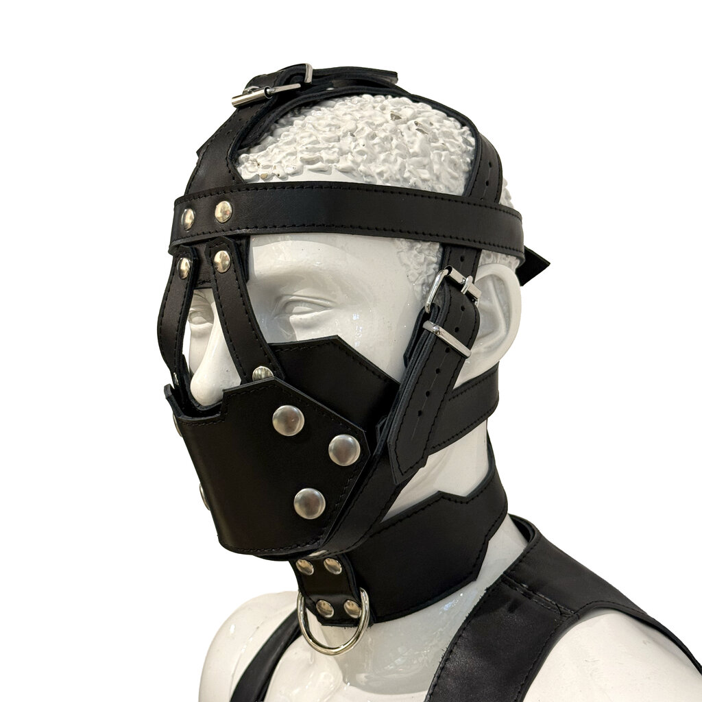 RoB Leather Head Harness
