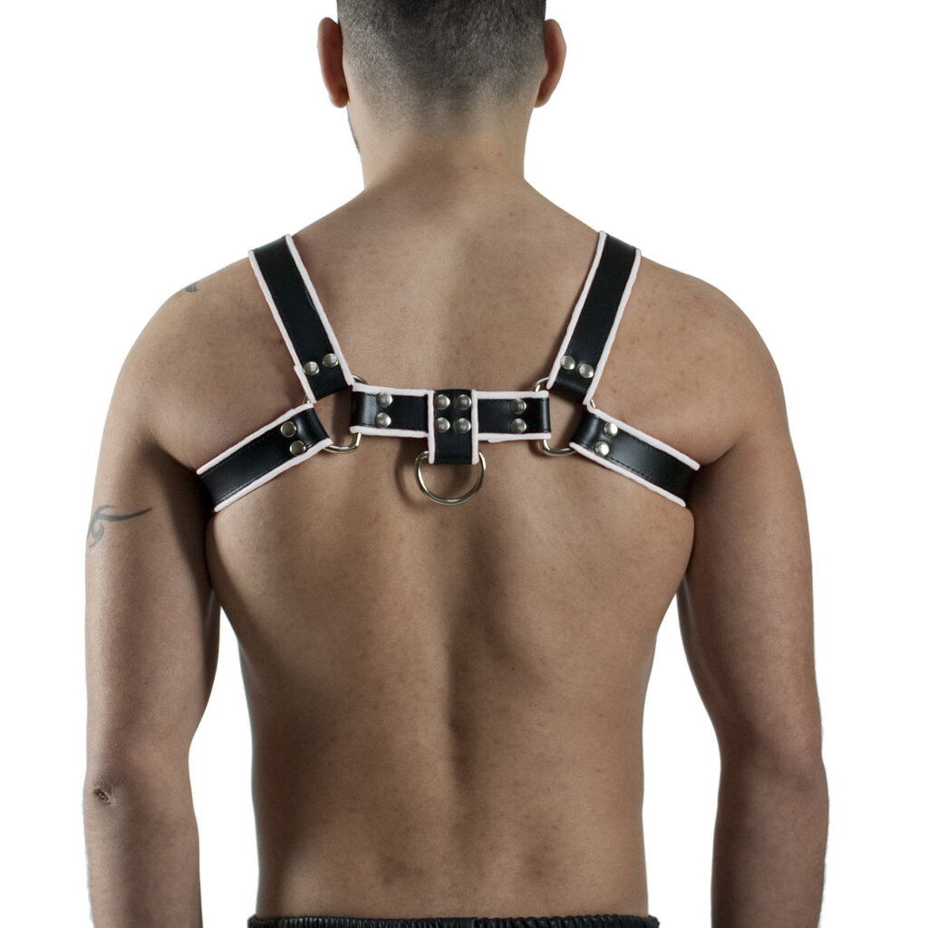 RoB H-Front Harness mit farbigem Rand