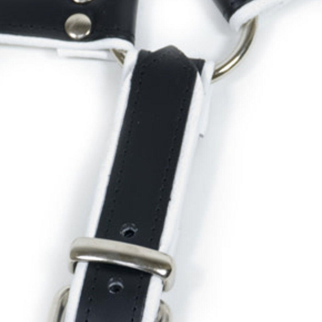 RoB H-Front Harness mit farbigem Rand