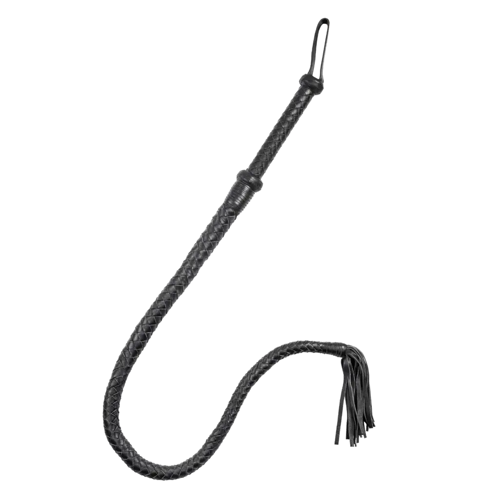 Firm Arabian bull whip