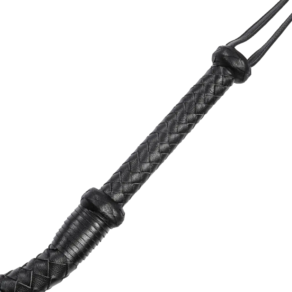 Firm Arabian bull whip