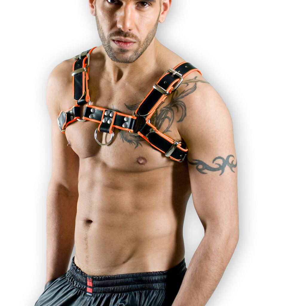 RoB H-Front Harness mit farbigem Rand