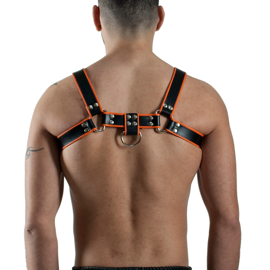RoB H-Front Harness mit farbigem Rand