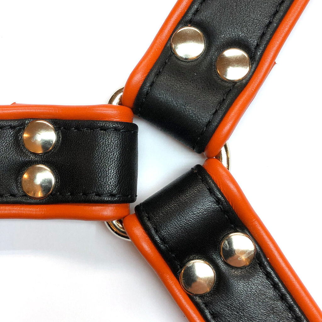 RoB H-Front Harness mit farbigem Rand