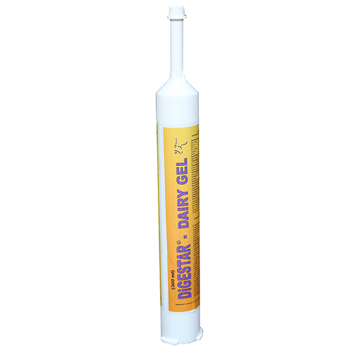 Digestar Dairy Gel (300 ml/tube) 