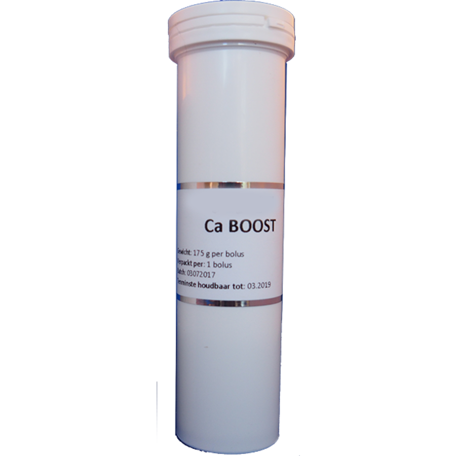 DairyStar Calcium Boost Bolus (4x 175 g/doosje)-2