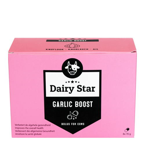 DairyStar Garlic Boost Bolus (8 st/doos) 