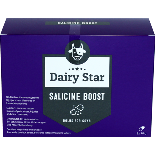 DairyStar Salicine Bolus (8x 70g per doosje) 