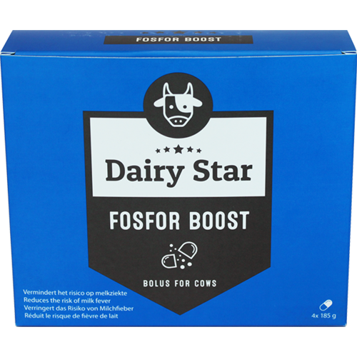 DairyStar Fosfor Boost Bolus (4x185 g/doosje) 