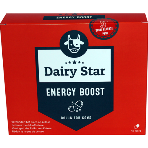 DairyStar Energy Boost Bolus (4x135 g/doosje) 