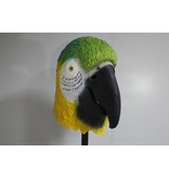 Bird mask Blue-and-yellow macaw parrot