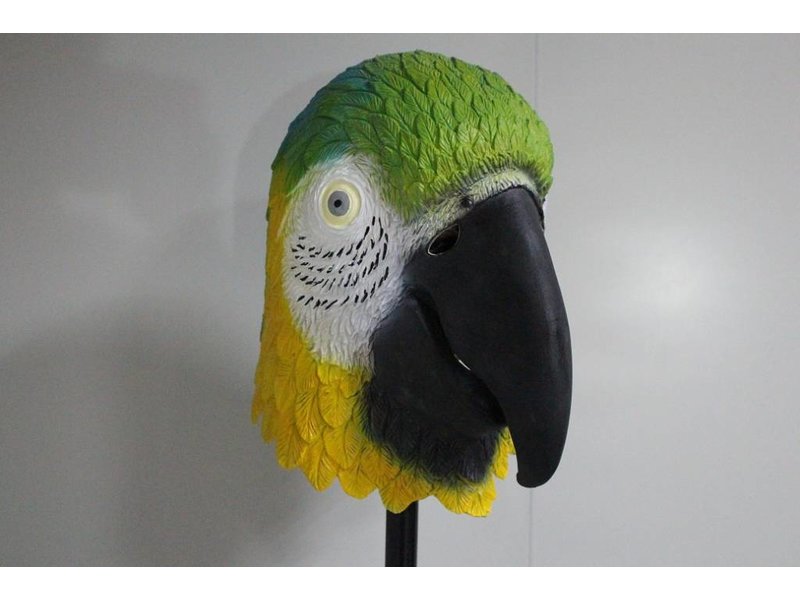 Bird mask Blue-and-yellow macaw parrot