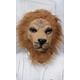 Masque de Lion