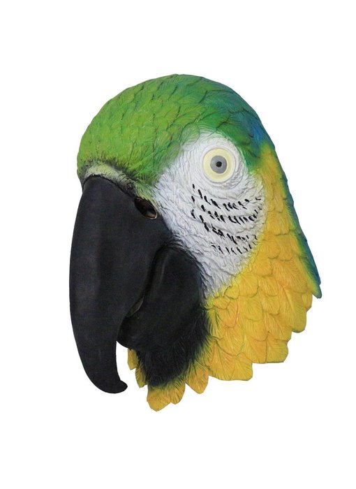 Bird mask Macaw Parrot