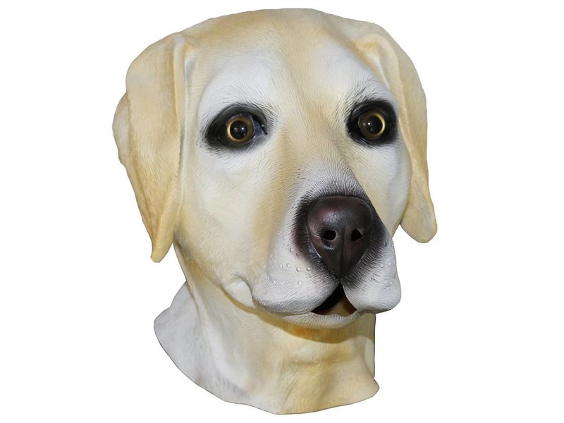 Masque de chien 'Labrador'