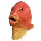 Masque de Poisson 'Carpe Koi'