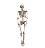 Decoratie Skelet (160 cm)