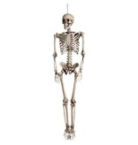 Decoration Skeleton (160cm)