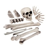 Plastic Skull & bones (12 pieces) Halloween / Horror decoration